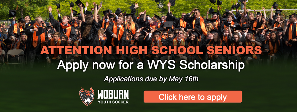 WYS 2025 Senior Scholarship Application